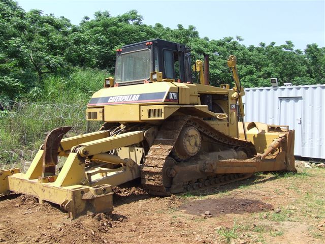 Cat_D7_H_001_(2)
